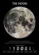 Moon Phases
