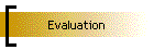 Evaluation